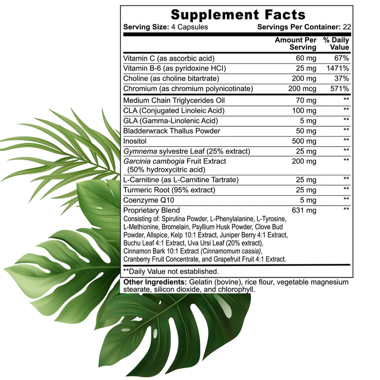 RioSculpt Certification